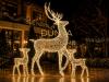 3D GEYİK LED IŞIKLI 