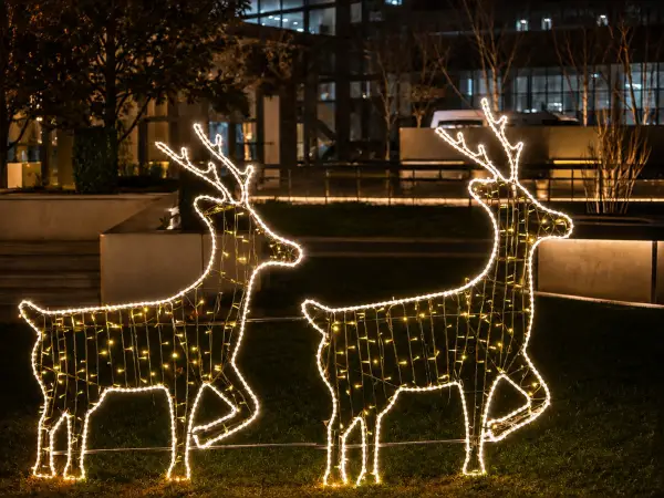 2D LED IŞIK GEYİK 