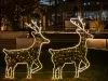 2D LED IŞIK GEYİK 